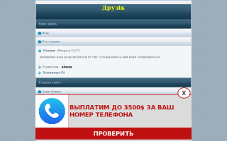Скриншот сайта druzik.1wm.su